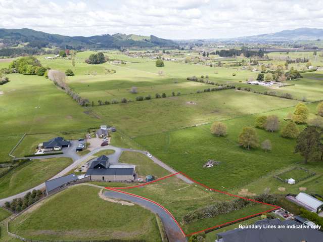 98d Maungakawa Road Cambridge_3