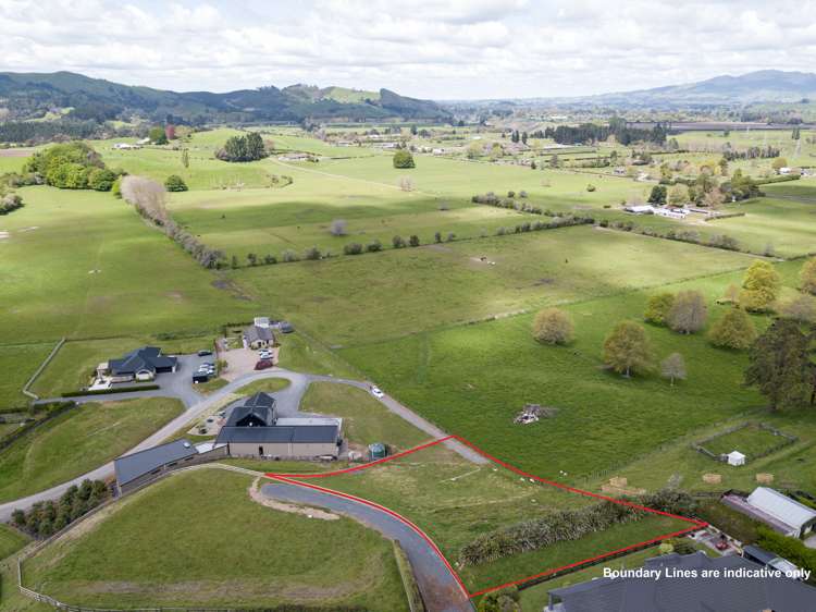 98d Maungakawa Road Cambridge_3