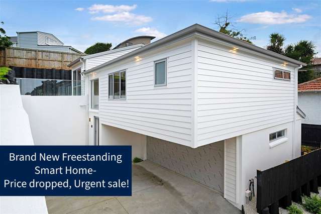 693b Great North Road Grey Lynn_1