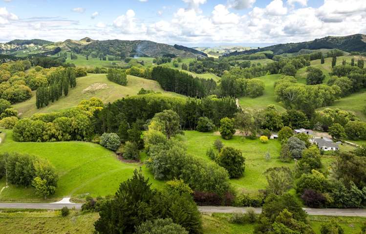 2420, 2430 and 2438 Kahuranaki Road Elsthorpe_3