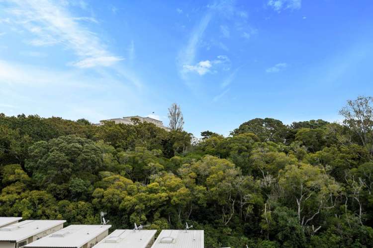 15/27 Birdwood Crescent Parnell_14