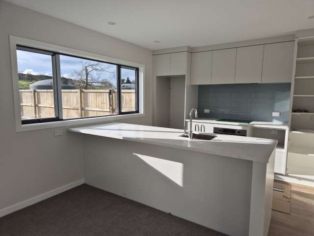 128 Reservoir Street Putaruru_1