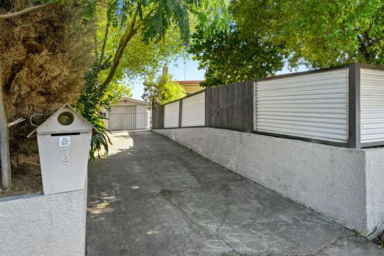 3 Palliser Place Milson_15