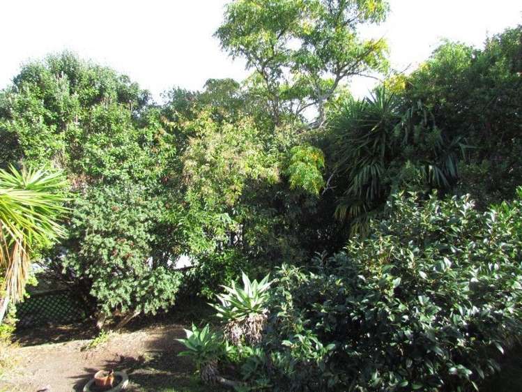74 Hokianga Road Dargaville_19