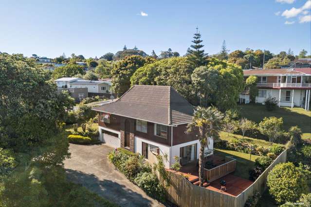 55 Queenstown Road Onehunga_1