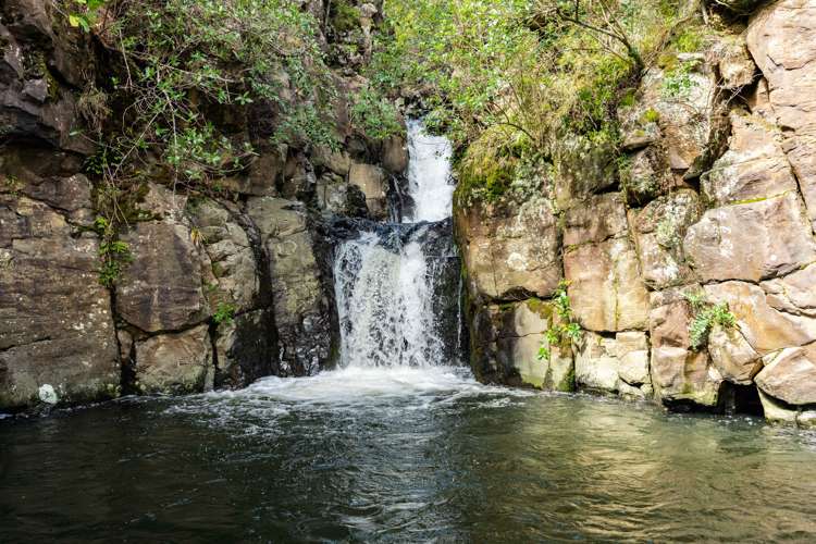 448 Taita Road Waimamaku_17