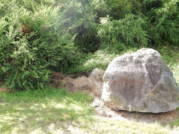 13 Gemini Place Kawaha Point_0