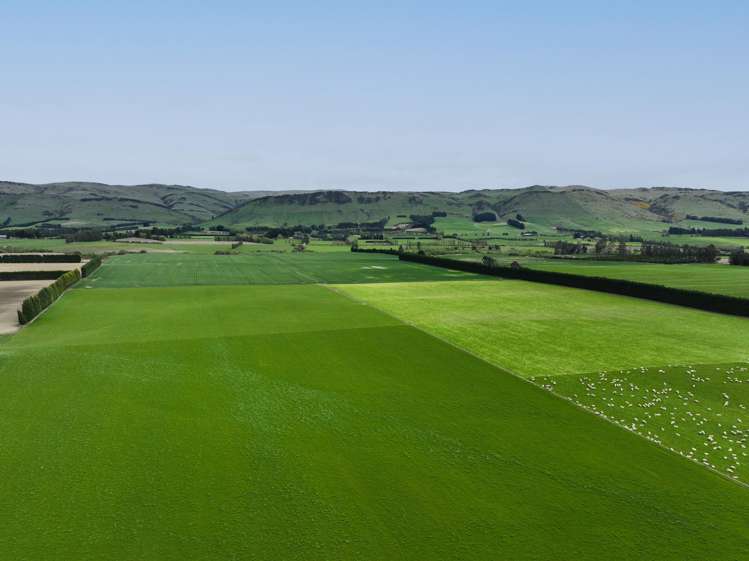 Warr Road. Balfour_7