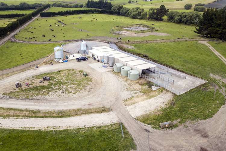 313 Springfield Road Totara_5