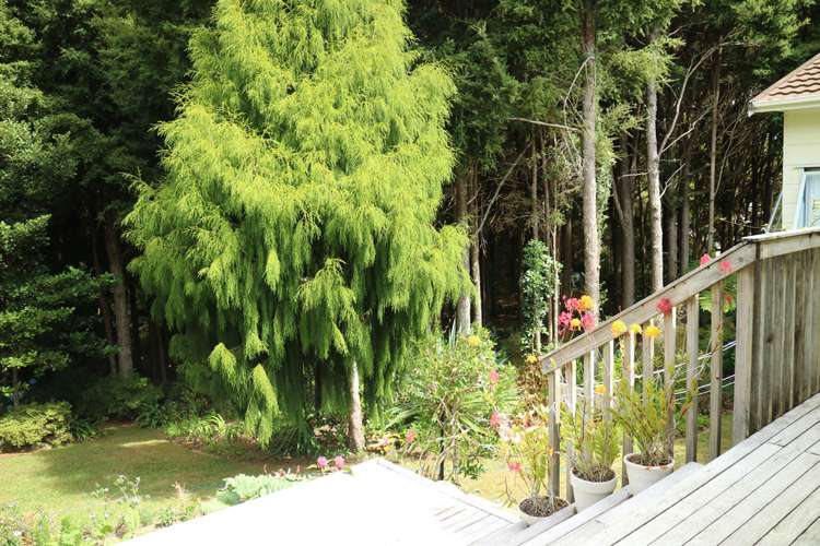 9 Edkins Road Kerikeri_24