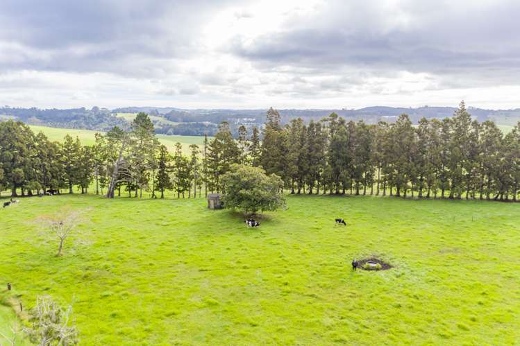 460 Pungaere Road Kerikeri Surrounds_5