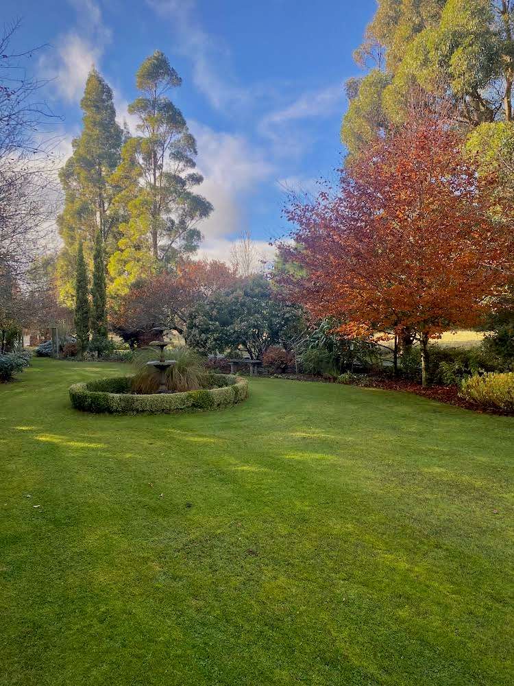 1015 Ellis Road Te Anau Surrounds_27