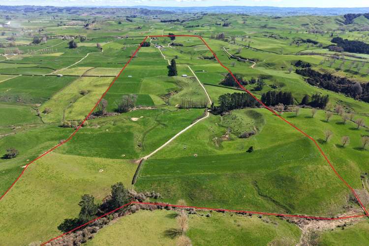 530 Mangatutu Rd RD3 Maihiihi_8