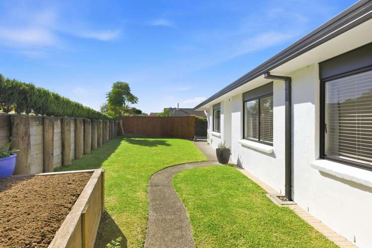 36A Heron Avenue East Matua_14