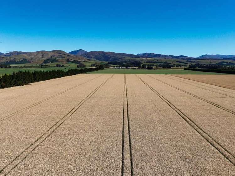588 Freshford Plains Station Road Wendonside_12