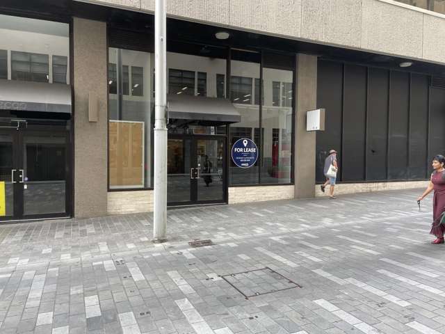 8 Jean Batten Place City Centre_1