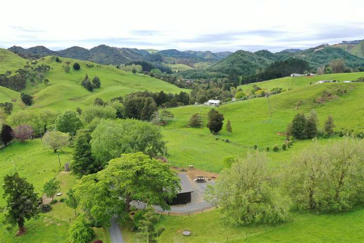 40 Cogswell Road Raglan_38