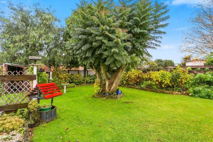 11 North Street Morrinsville_18