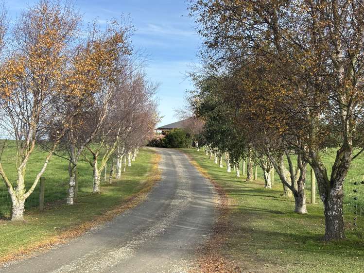 341 Airedale Road Weston_11