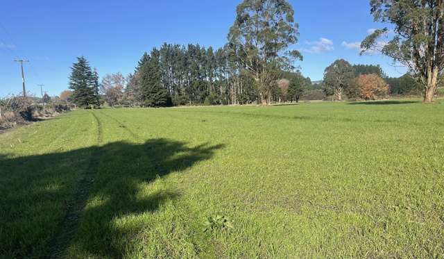 State Highway 1 Kinleith_2