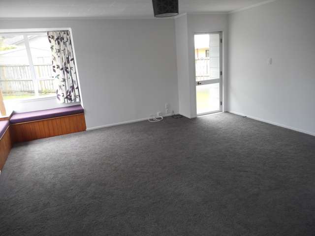 8c Amethyst Place Pukehangi_1