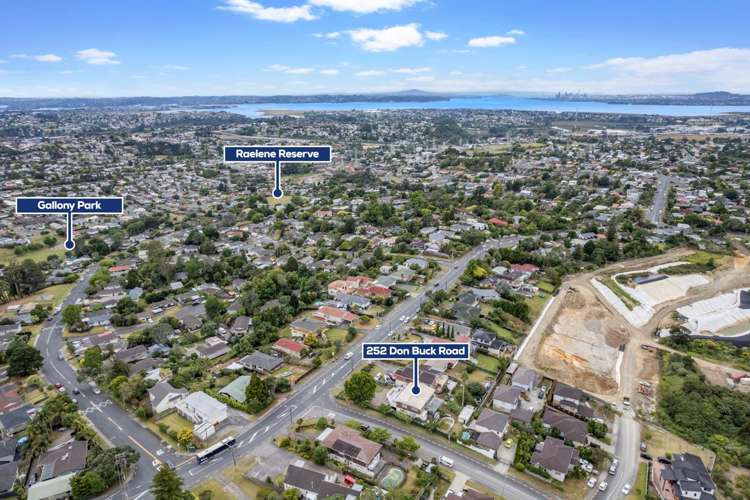 1628 State Highway 25 Pipiroa_10