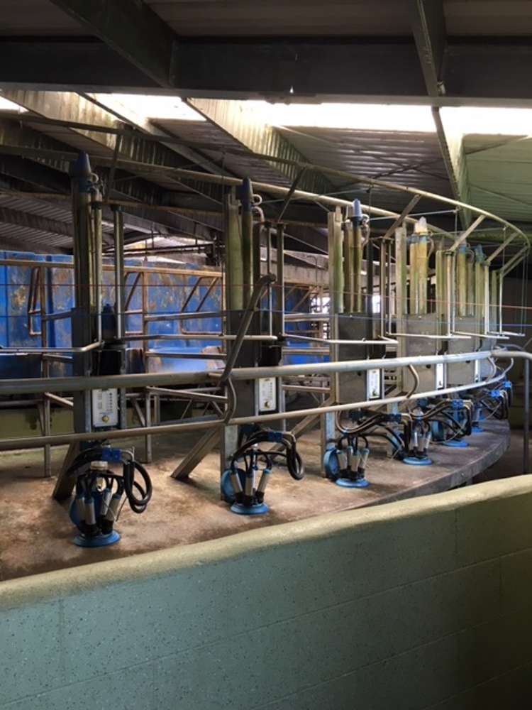 1703 Eltham Road Riverlea_14