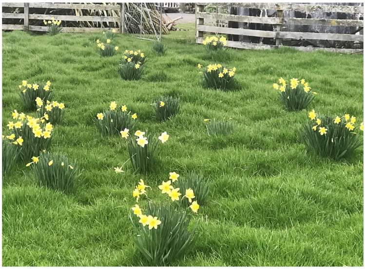 2 Tua Street Ormondville_11