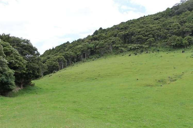 243c Mountain Road Maungaturoto_21