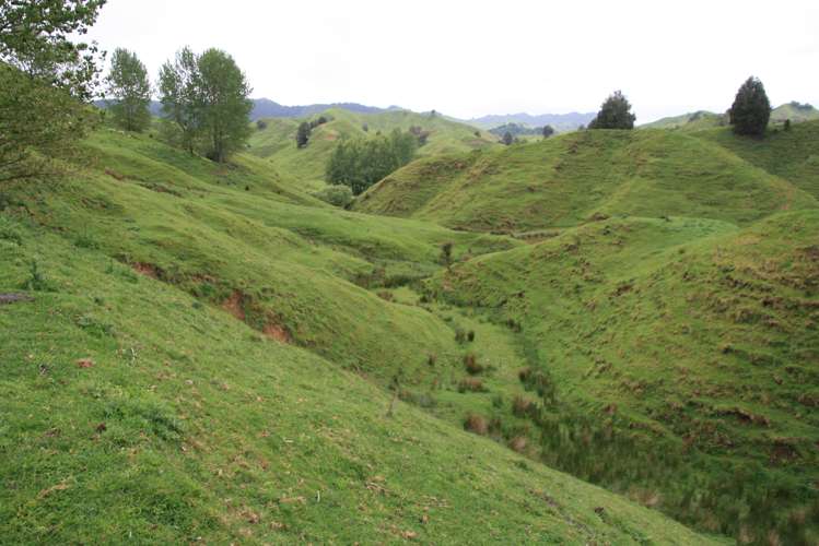 200 Tahora Road Tahora_9