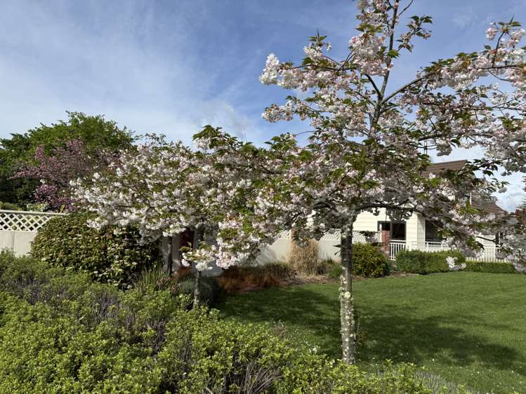 144 Loop Line Masterton_20