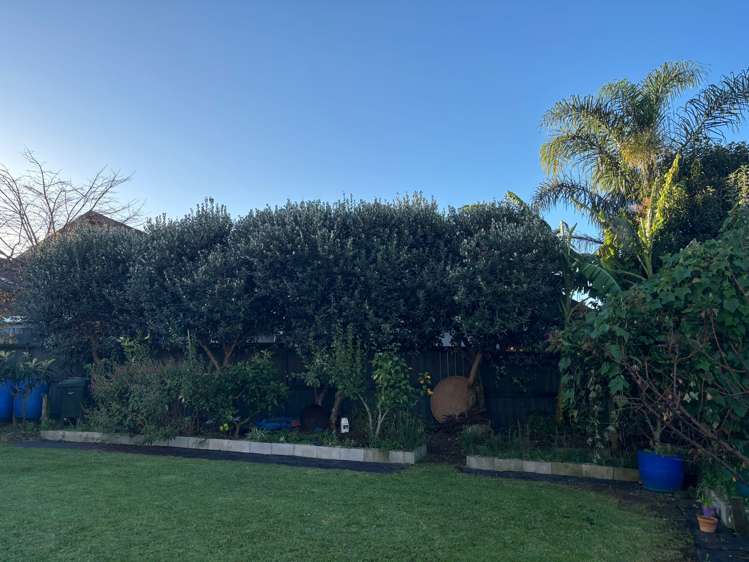14 Liffey Drive East Tamaki_15