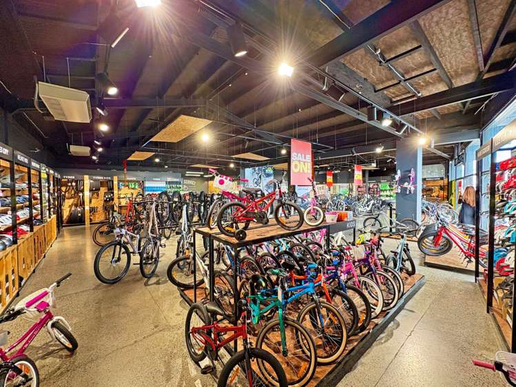 72 Barrys Point Road Takapuna_10