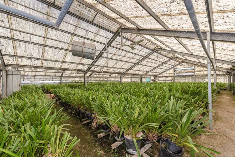 365 Rotokauri Road Baverstock_33