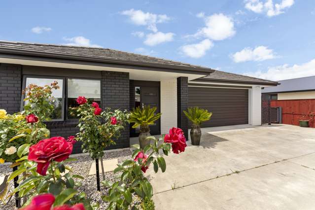 101b Makino Road Feilding_1