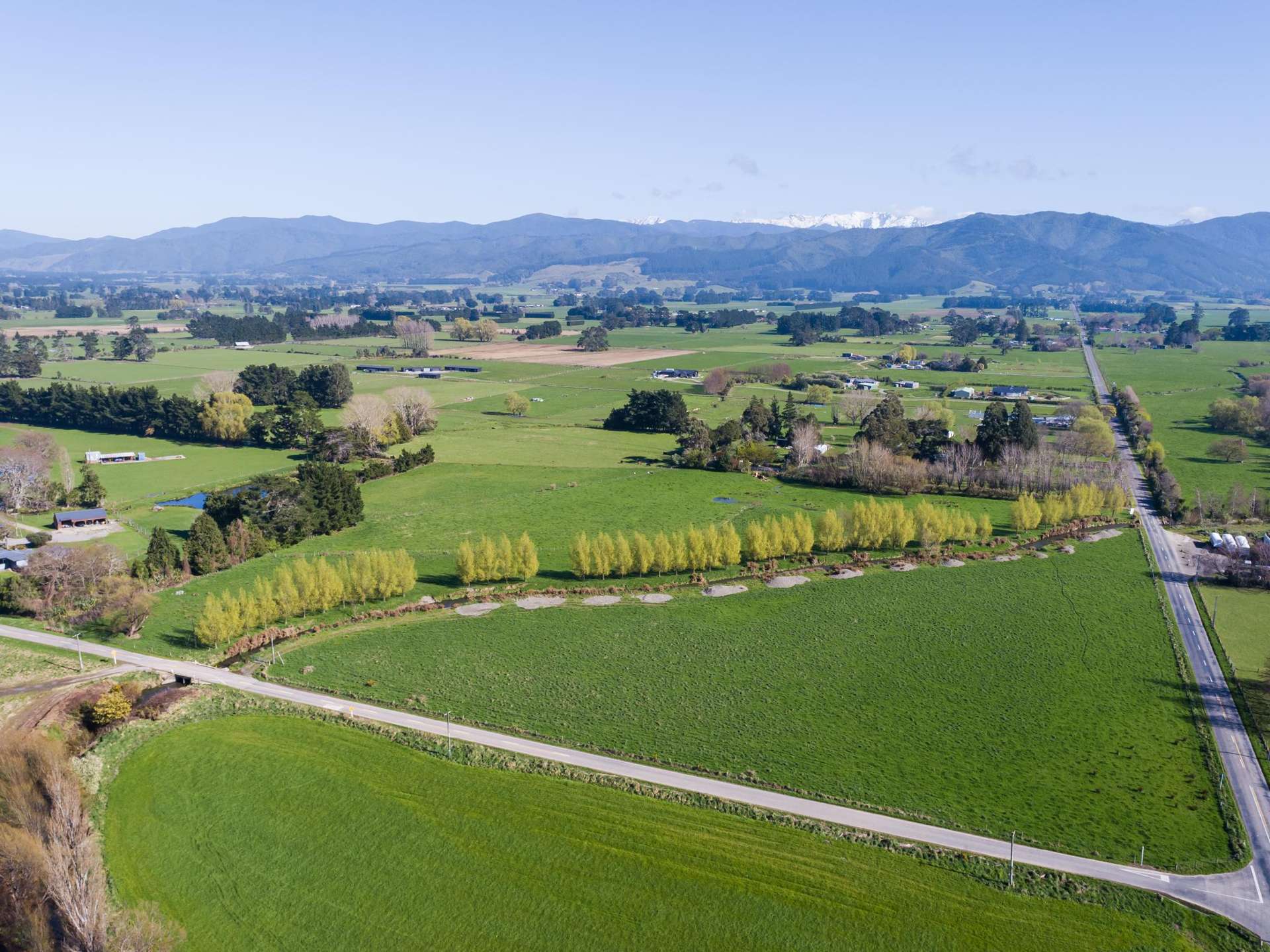 289 Dalefield Road Carterton_0