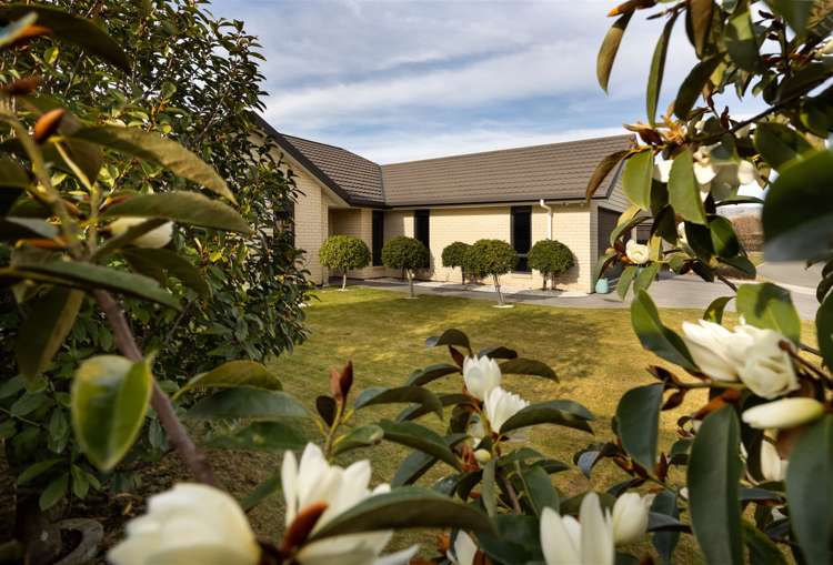 135 Taylor Pass Road Witherlea_19