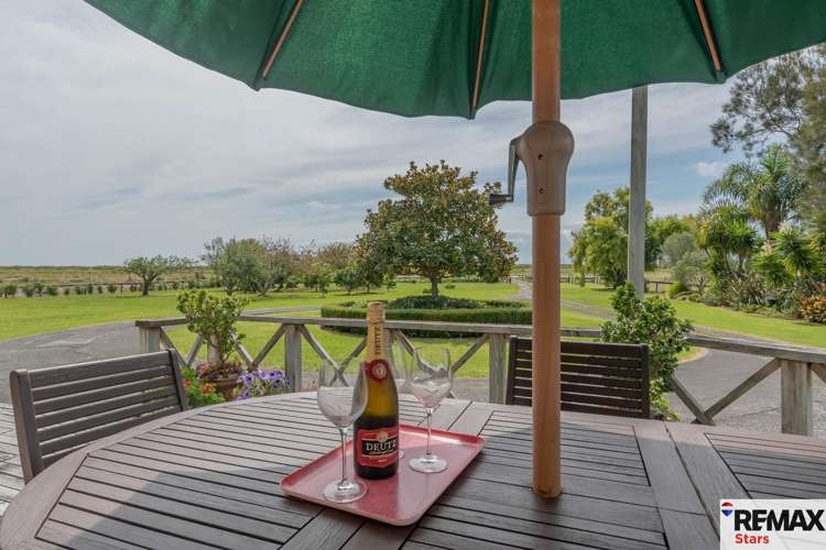 397 Front Miranda Road Miranda_8