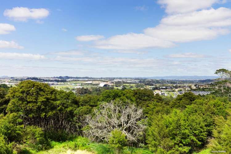 189 Lonely Track Road Albany Heights_17