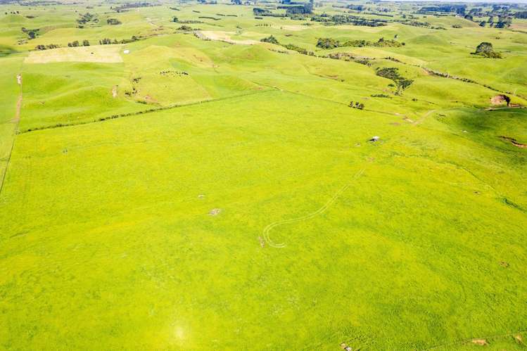 0n Parihaka Road Pungarehu_24