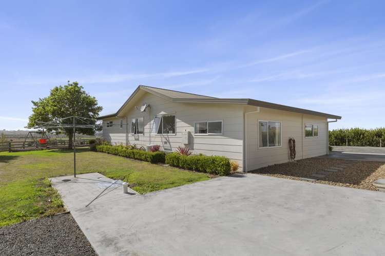 82 Hawke Road Te Kauwhata_23