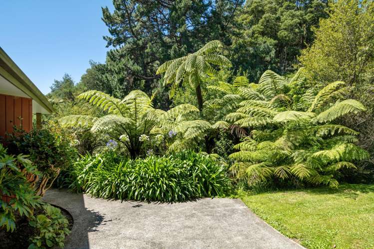 20 Lincoln Street Picton_20