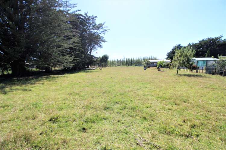 49899 State Highway 3 Woodville_20