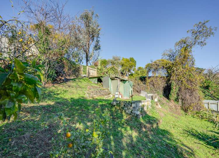 222 Saint Vincent Street Toi Toi_19