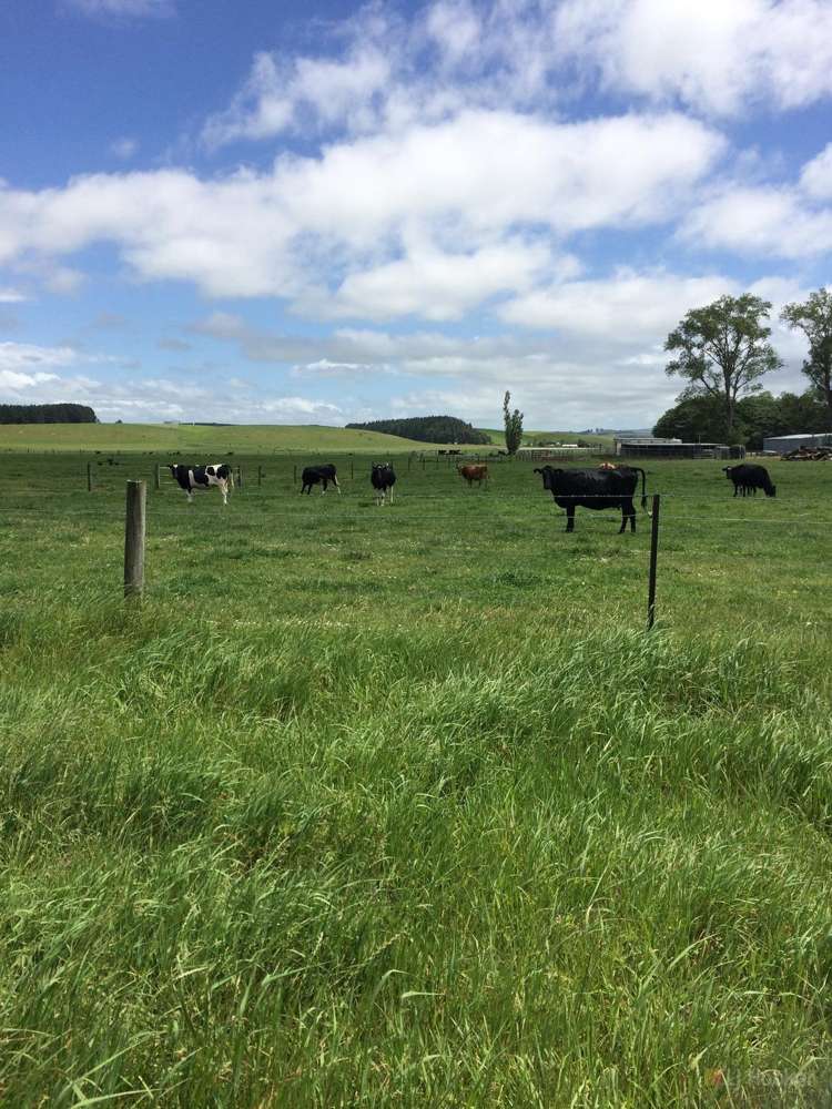 259 Goodwin Road Waitohi_13