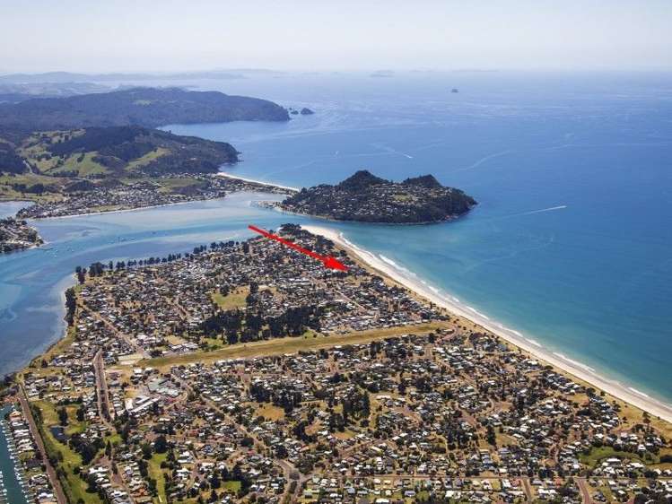 8 Justintime Pauanui_8