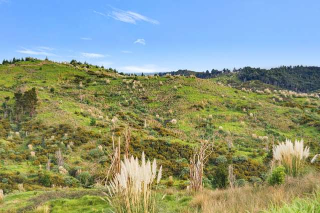 600C Bickerstaffe Road Maungaturoto_2