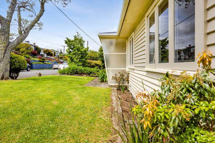 51 Essex Street Vogeltown_16