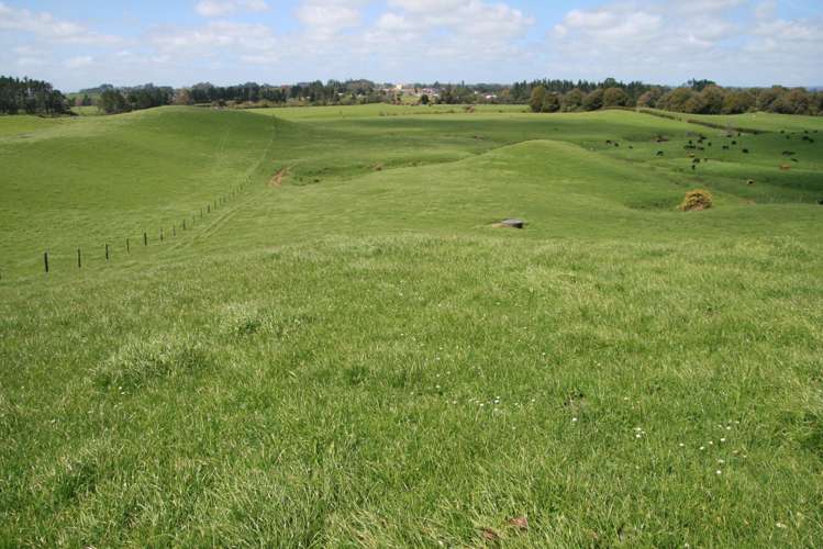 828 Hursthouse Road Inglewood_25