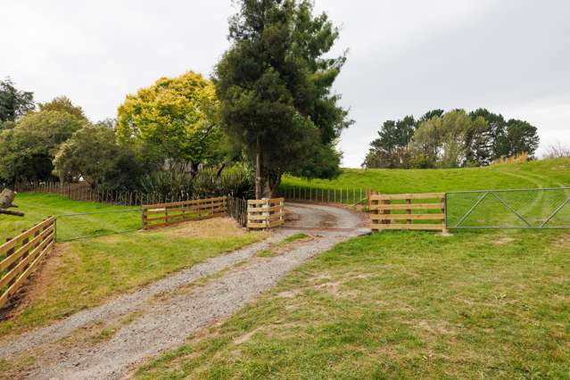 815 Reid Line East Bunnythorpe_3